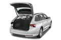 trunk