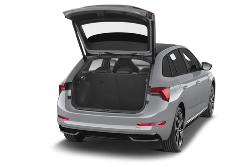 trunk