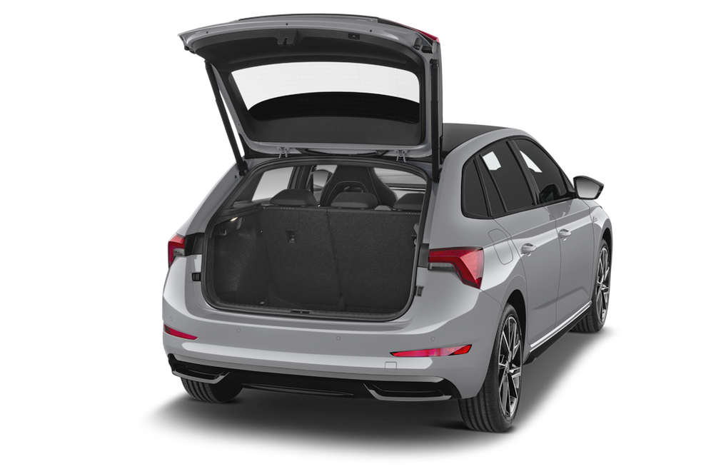 trunk