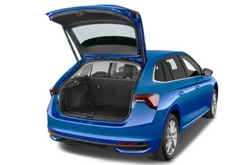 trunk