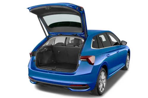 trunk