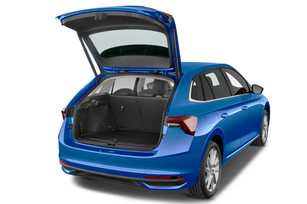 trunk