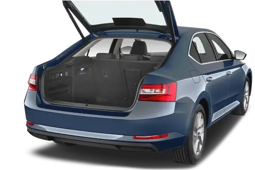 trunk