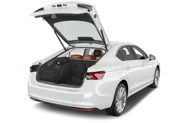 trunk