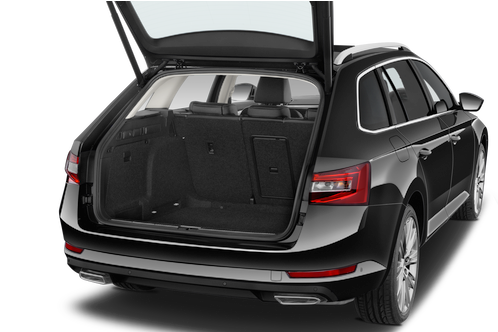 trunk