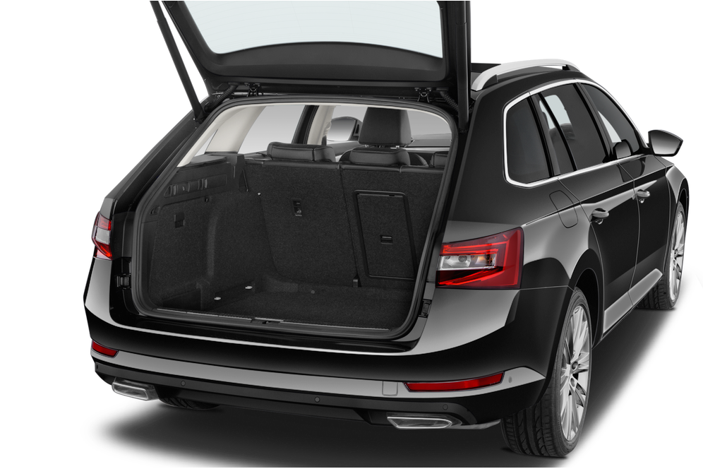 trunk