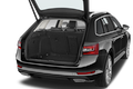 trunk