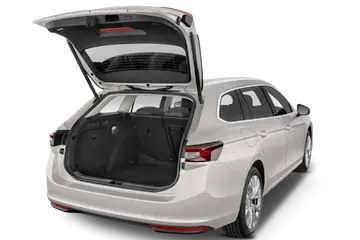 trunk