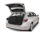 trunk