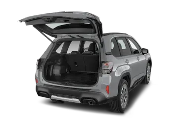 trunk