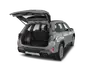 trunk