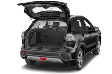trunk