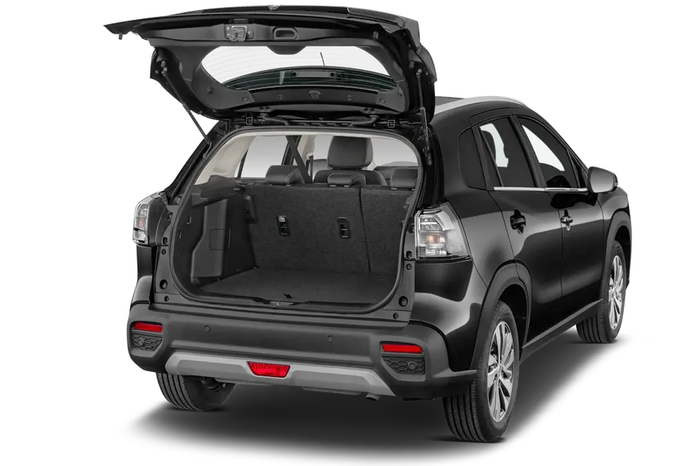 trunk