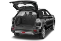 trunk