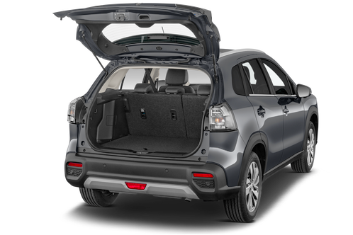 trunk