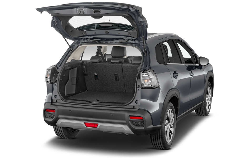 trunk