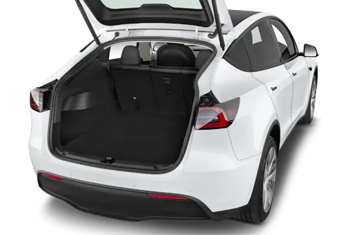 trunk