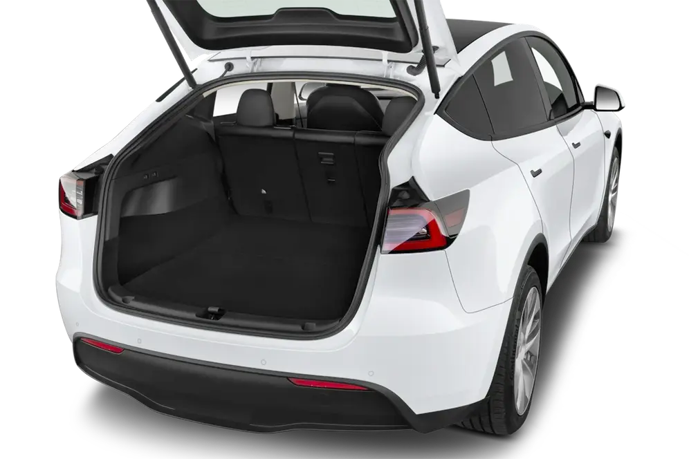 trunk