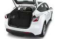 trunk