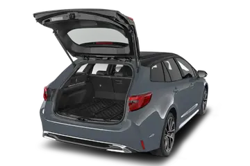 trunk
