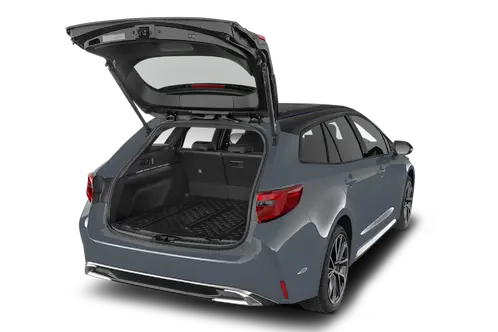 trunk