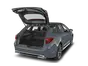 trunk