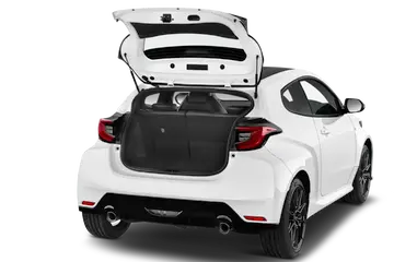 trunk
