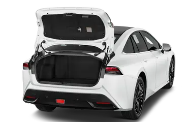 trunk