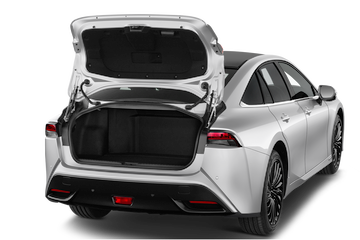 trunk