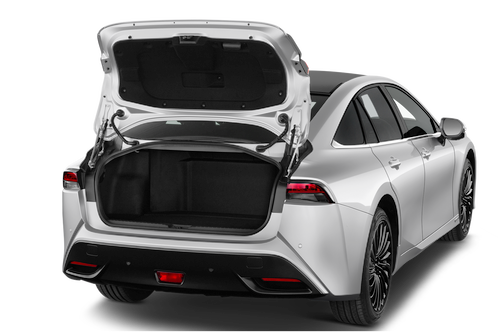trunk