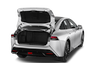 trunk