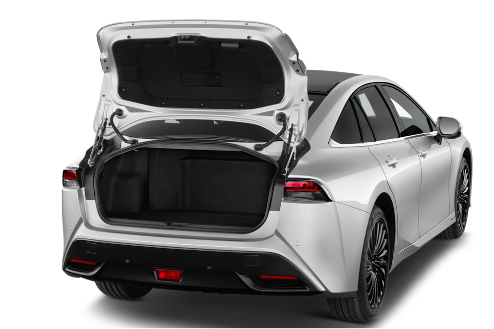 trunk