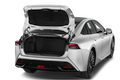 trunk