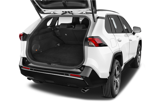 trunk