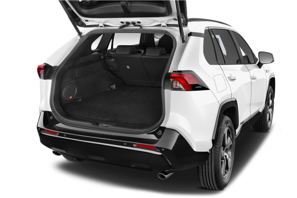 trunk