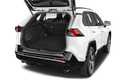 trunk