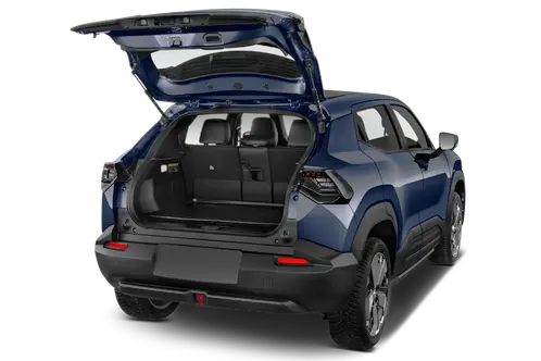 trunk