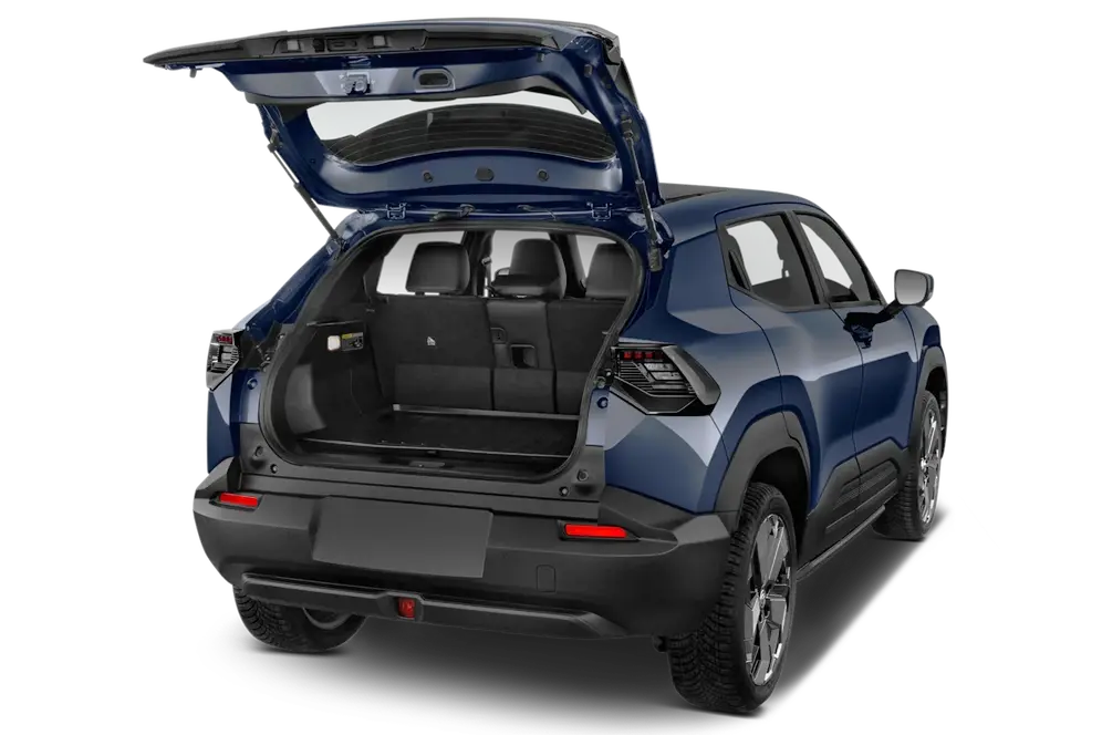 trunk