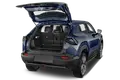 trunk