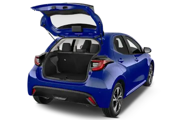 trunk