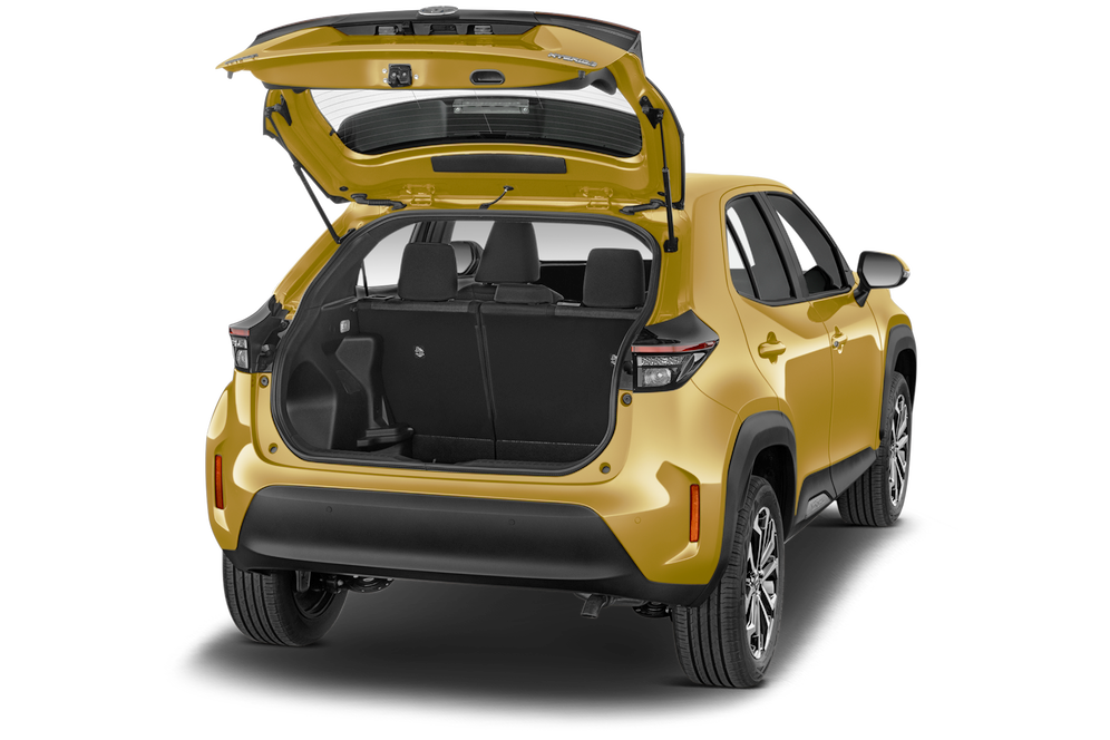 trunk
