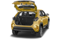 trunk