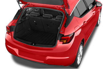 trunk