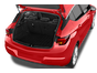 trunk