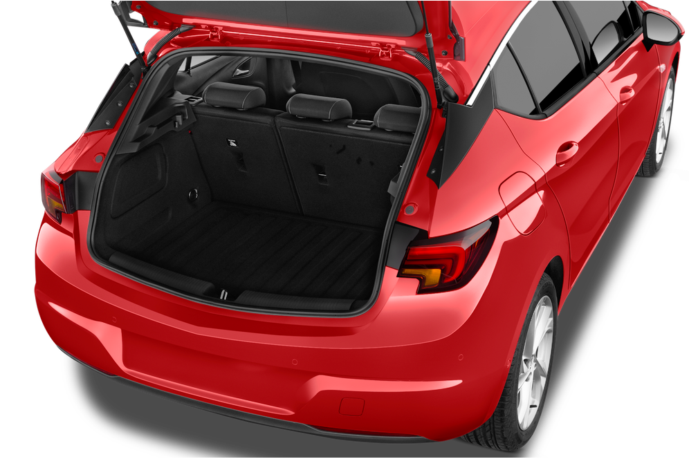 trunk