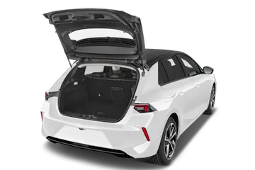 trunk