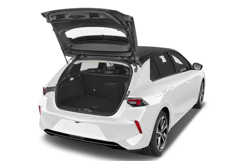 trunk