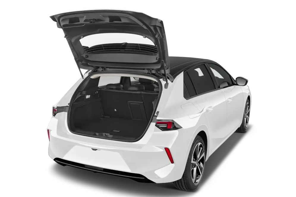 trunk