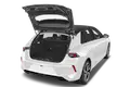 trunk