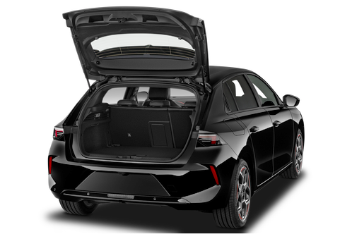 trunk
